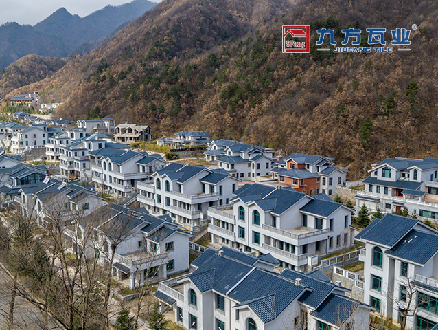 �Ų�����(�й���)���޹�˾����