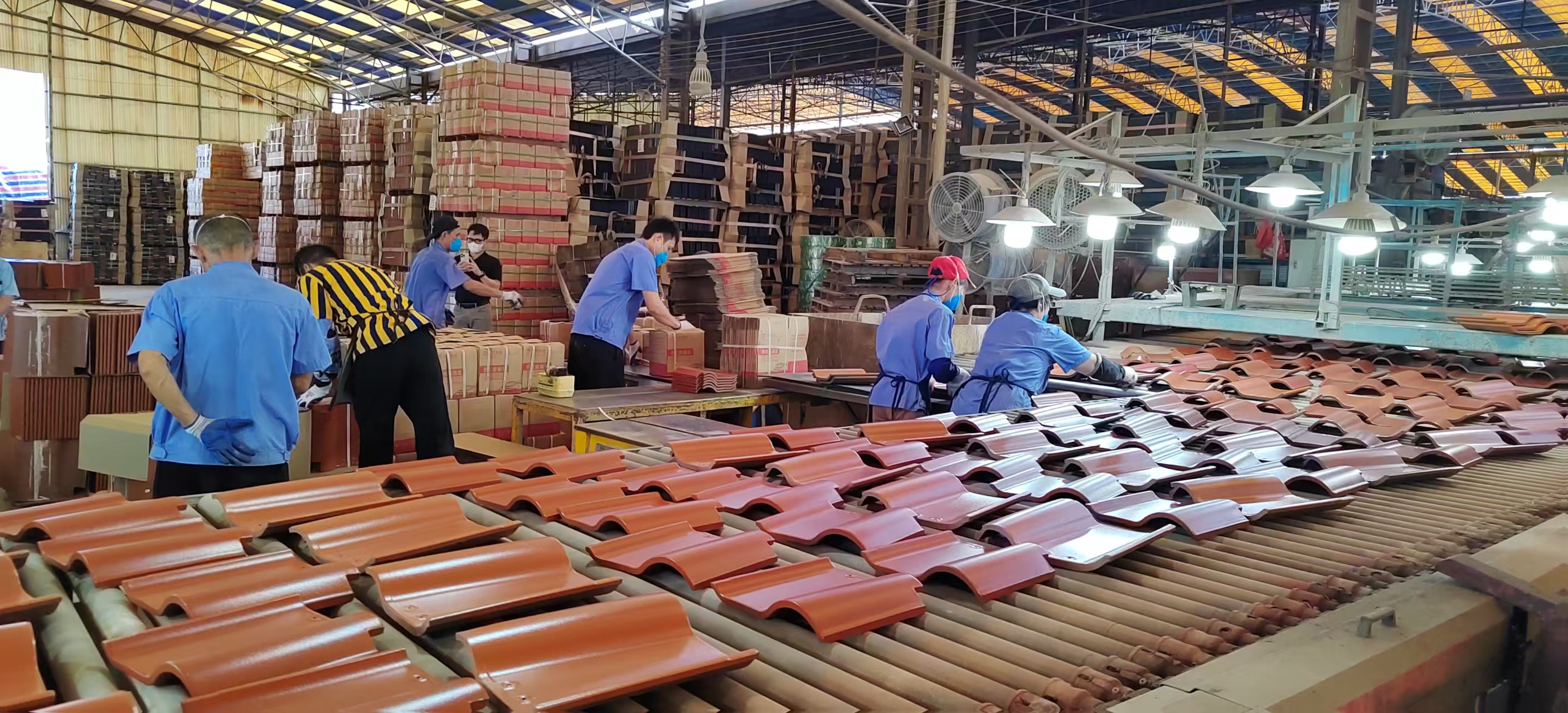 �Ų���ժҪ2024��29��